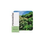 Pranarom Aceite Esencial Arbol Del Té BIO 10 ml