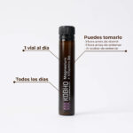 Kobho Magnesio + Vitamina B6 - Imagen 2